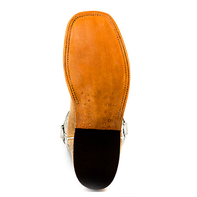 anderson bean s1098