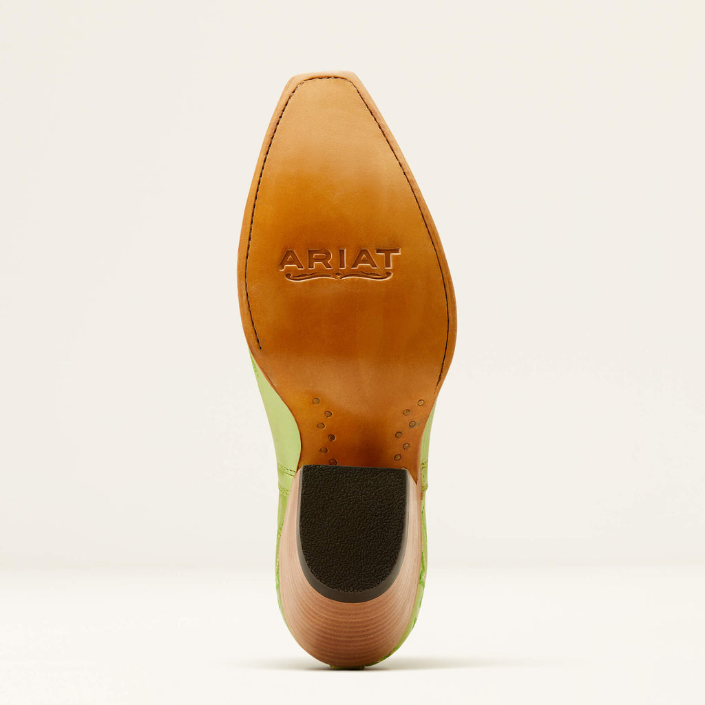 Women's Ariat Dixon Western Boot #10050874