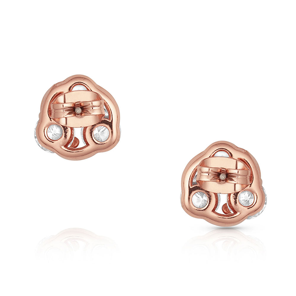 Montana Silversmiths Earrings #ER4800RG
