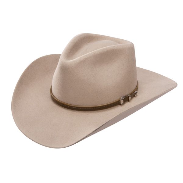 Stetson Seneca 4X Felt Hat #SBSNCA-4134